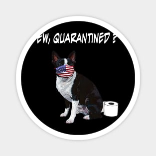 Boston Terrier Dog Ew Quarantined Dog Wearing A Face Mask Magnet